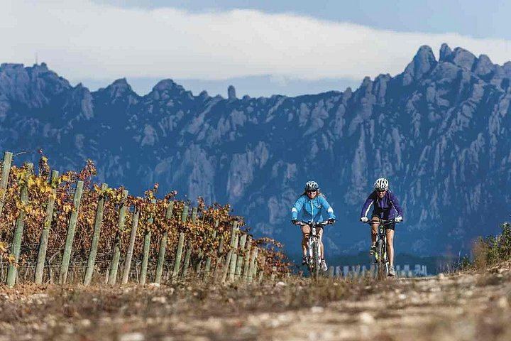 Penedès Vineyard E-Bike or Mountain Bike Small Group Day Trip with 2 Wineries (10/10)