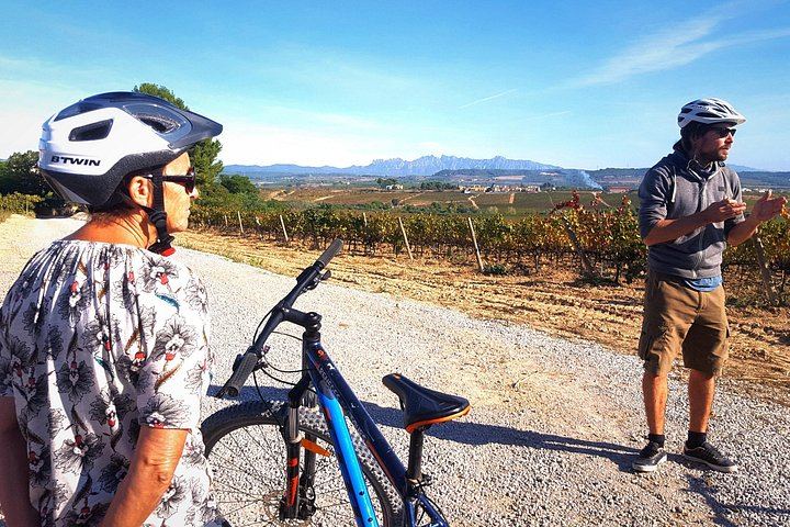 Penedès Vineyard E-Bike or Mountain Bike Small Group Day Trip with 2 Wineries (3/10)
