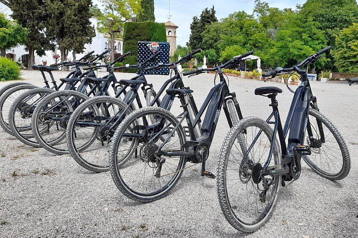 Penedès Vineyard E-Bike or Mountain Bike Small Group Day Trip with 2 Wineries (5/10)