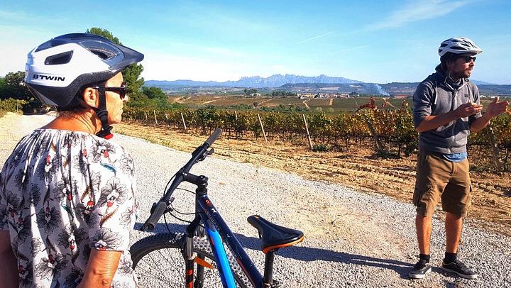 Penedès Vineyard E-Bike or Mountain Bike Small Group Day Trip with 2 Wineries (3/10)