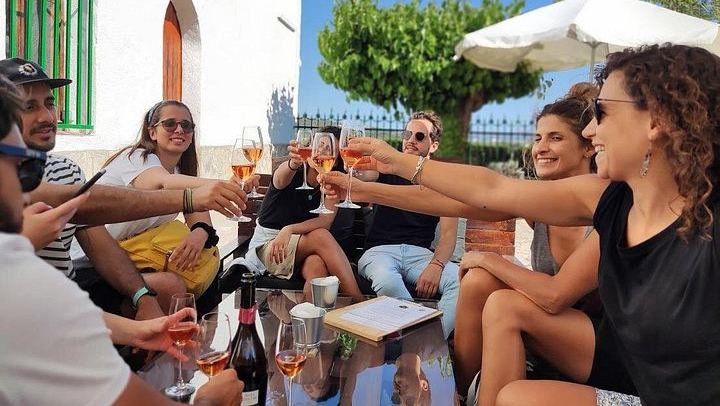 Penedès Vineyard E-Bike or Mountain Bike Small Group Day Trip with 2 Wineries (1/10)