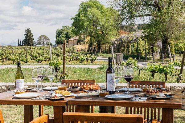 Familia Torres Winery from Barcelona: Waltraud Winery, Estate Lunch and Four Wines