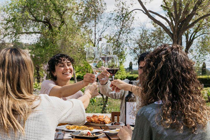 Familia Torres Winery from Barcelona: Waltraud Winery, Estate Lunch and Four Wines (1/7)