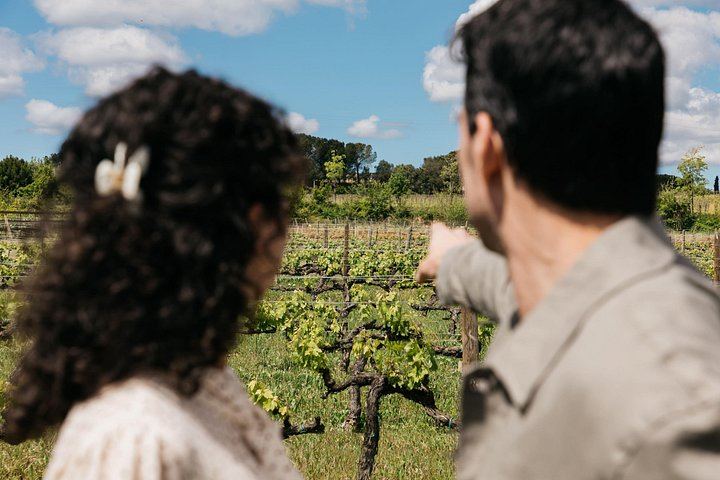 Familia Torres Winery from Barcelona: Waltraud Winery, Estate Lunch and Four Wines (7/7)