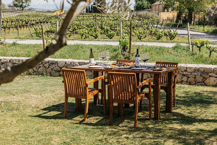 Familia Torres Winery from Barcelona: Waltraud Winery, Estate Lunch and Four Wines (6/7)