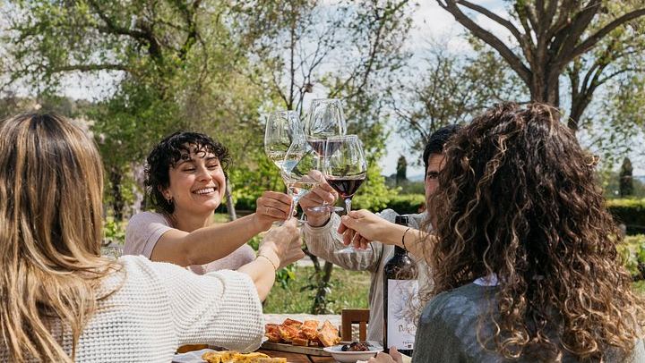 Familia Torres Winery from Barcelona: Waltraud Winery, Estate Lunch and Four Wines (1/7)