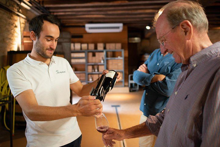 Full-Day Burgundy Wine Tour from Beaune: Charcuterie Pairing, Montrachet and Family Winery (6/12)