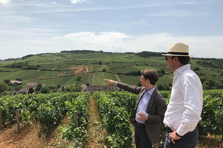Full-Day Burgundy Wine Tour from Beaune: Charcuterie Pairing, Montrachet and Family Winery (9/12)