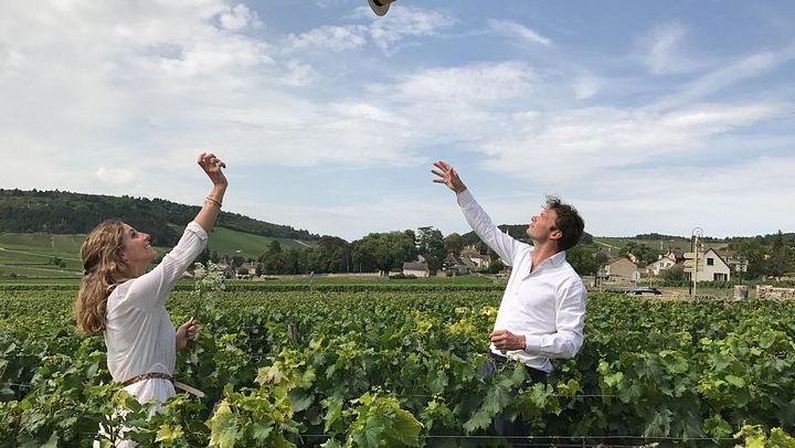 Full-Day Côte d'Or Wine Tour from Dijon: Montrachet Grand Cru, Charcuterie, Family Winery (4/12)
