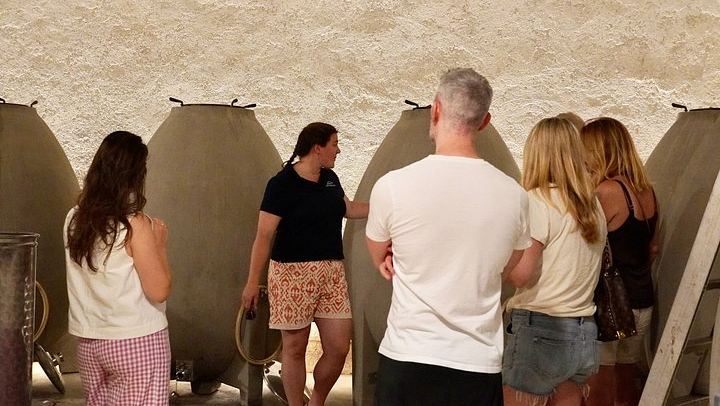Full-Day Côte d'Or Wine Tour from Dijon: Montrachet Grand Cru, Charcuterie, Family Winery (2/12)