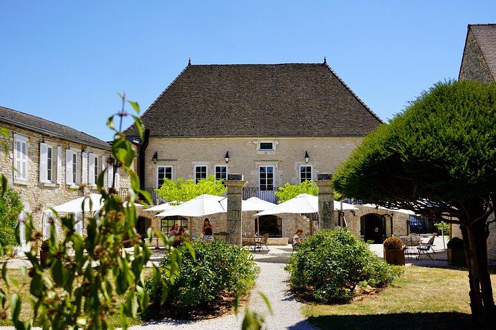 Full-Day Burgundy Wine Tour from Beaune: Charcuterie Pairing, Montrachet and Family Winery (1/12)