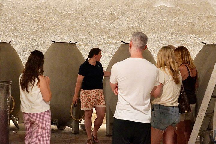 Full-Day Burgundy Wine Tour from Beaune: Charcuterie Pairing, Montrachet and Family Winery (12/12)