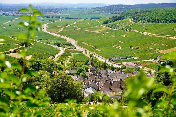 Full-Day Côte d'Or Wine Tour from Dijon: Montrachet Grand Cru, Charcuterie, Family Winery (10/12)
