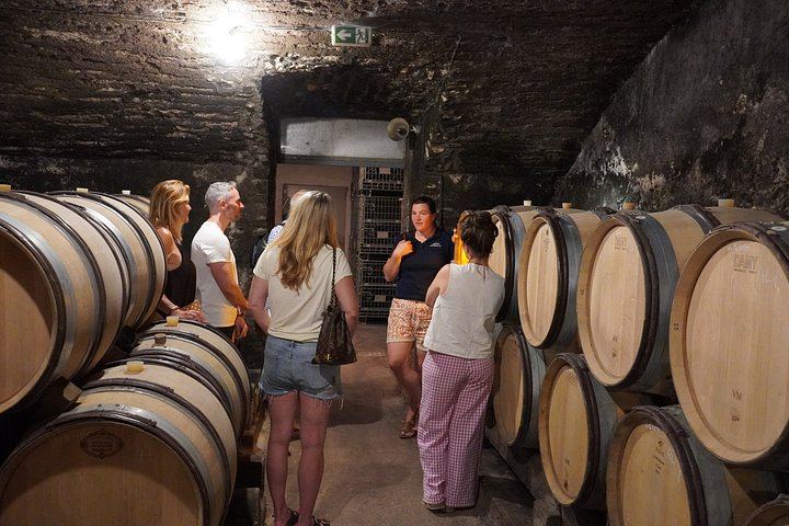 Full-Day Burgundy Wine Tour from Beaune: Charcuterie Pairing, Montrachet and Family Winery (5/12)