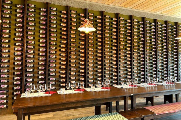Chianti Wine Tour from Florence: Two Wineries and a Monteriggioni or San Gimignano Stop (4/12)
