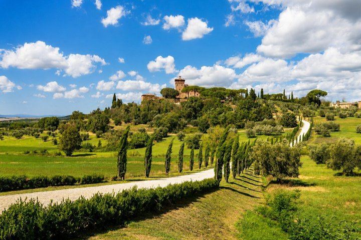 Chianti Wine Tour from Florence: Two Wineries and a Monteriggioni or San Gimignano Stop (8/12)