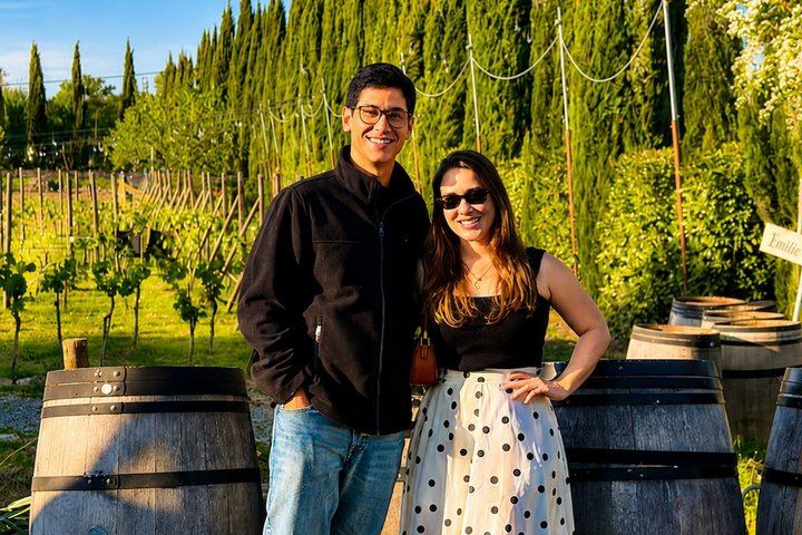 Chianti Wine Tour from Florence: Two Wineries and a Monteriggioni or San Gimignano Stop (3/12)