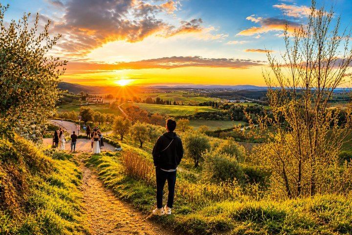 Chianti Wine Tour from Florence: Two Wineries and a Monteriggioni or San Gimignano Stop (2/12)