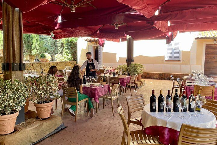 Classic Chianti Villages and Wine Roads by Minivan from Florence, with Light Lunch (7/11)
