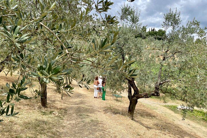 Classic Chianti Villages and Wine Roads by Minivan from Florence, with Light Lunch (11/11)