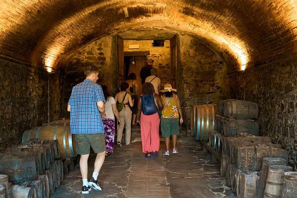 Semi-Private Supertuscan Tour from Florence: Castello di Gabbiano and Greve