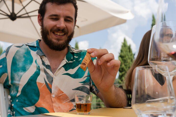 The Tour Guy Tuscany Day Trip from Florence: Siena, Six-Wine Chianti Lunch, San Gimignano (12/12)