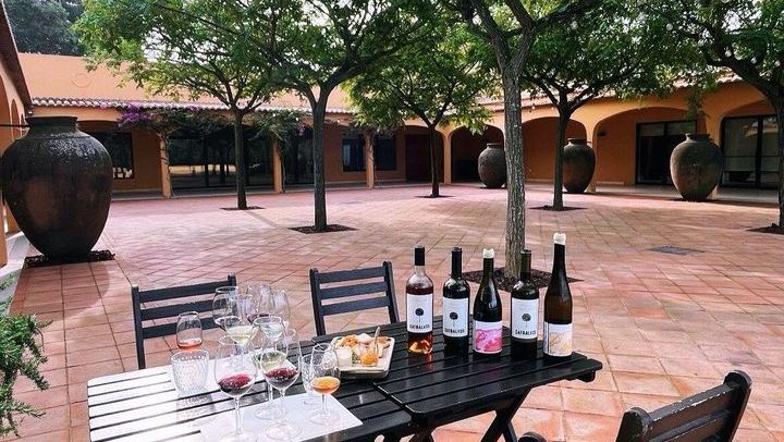 Private Sesimbra Castle and Cabo Espichel Day from Lisbon with Azeitão Wine (3/12)