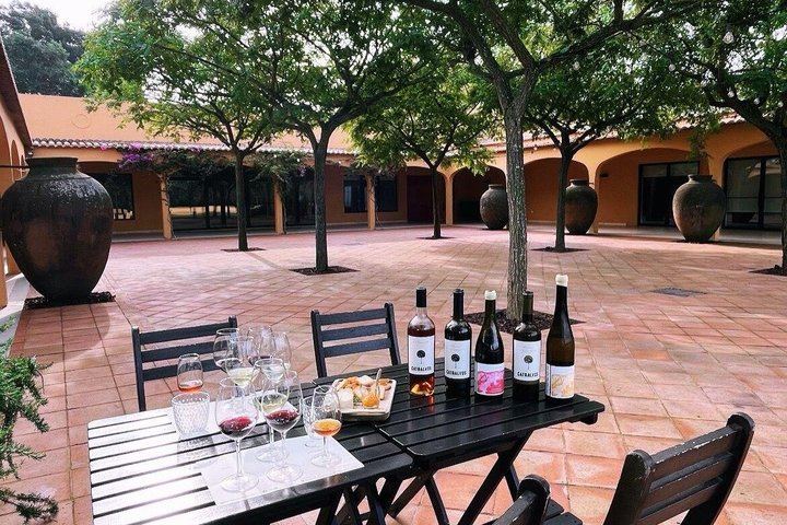Private Sesimbra Castle and Cabo Espichel Day from Lisbon with Azeitão Wine (3/12)