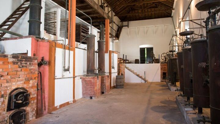 Family Winery Tour with Historic Cellars and Wine Tasting at Quinta do Sanguinhal (2/12)