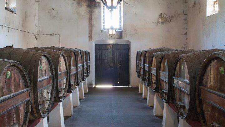 Family Winery Tour with Historic Cellars and Wine Tasting at Quinta do Sanguinhal (3/12)
