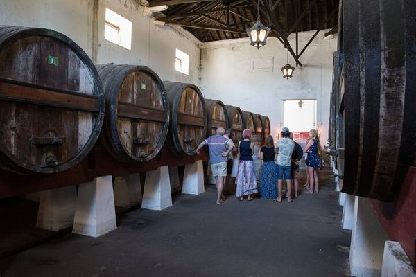 Family Winery Tour with Historic Cellars and Wine Tasting at Quinta do Sanguinhal