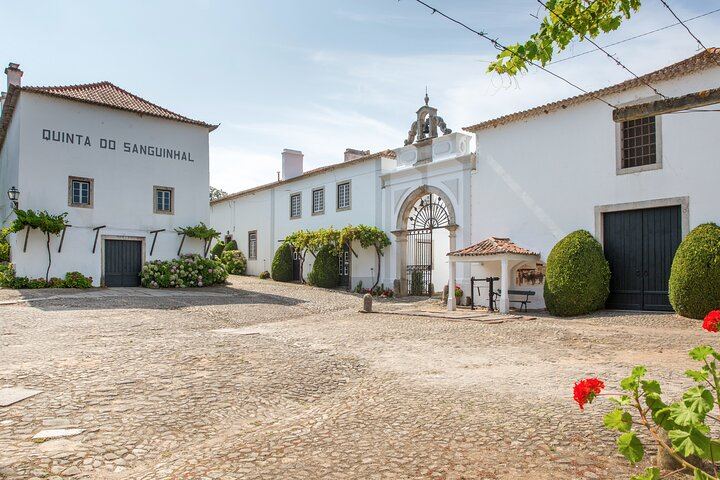 Family Winery Tour with Historic Cellars and Wine Tasting at Quinta do Sanguinhal (1/12)