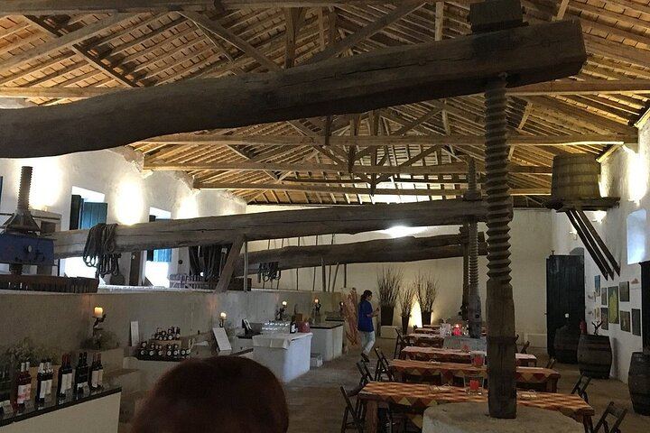 Family Winery Tour with Historic Cellars and Wine Tasting at Quinta do Sanguinhal (11/12)
