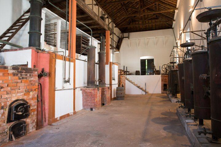 Family Winery Tour with Historic Cellars and Wine Tasting at Quinta do Sanguinhal (2/12)