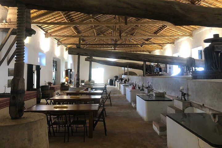 Family Winery Tour with Historic Cellars and Wine Tasting at Quinta do Sanguinhal (9/12)
