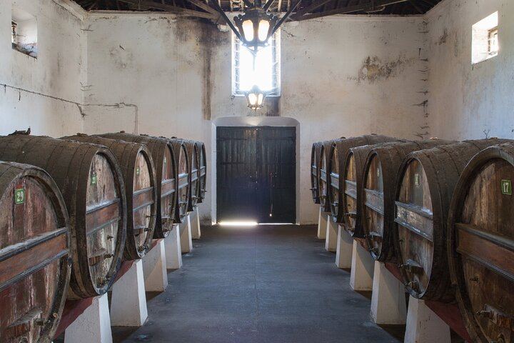 Family Winery Tour with Historic Cellars and Wine Tasting at Quinta do Sanguinhal (3/12)