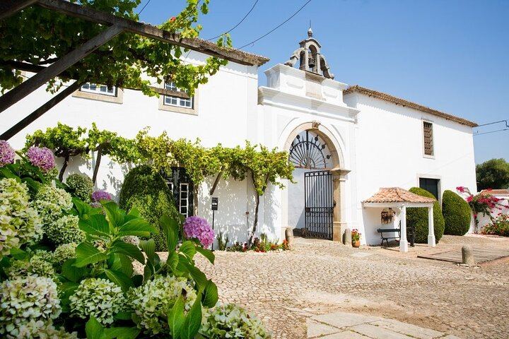 Family Winery Tour with Historic Cellars and Wine Tasting at Quinta do Sanguinhal (5/12)