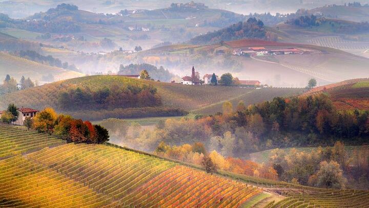 Barolo Wine Day Trip from Milan with a Private Driver in a Luxury Car, Two Wineries (1/12)