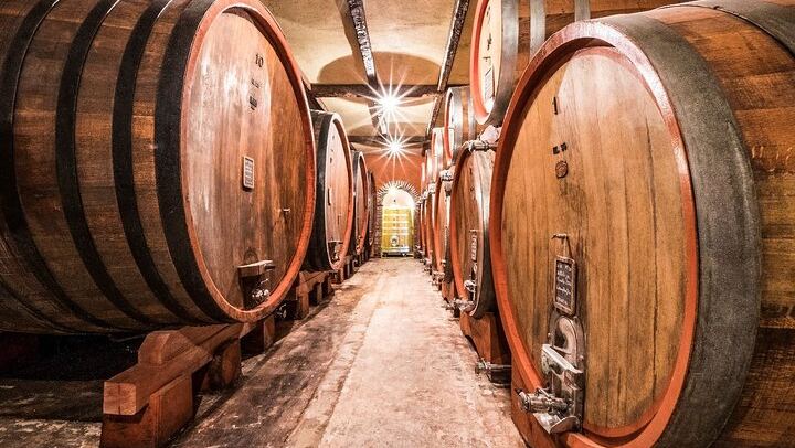 Barolo Wine Day Trip from Milan with a Private Driver in a Luxury Car, Two Wineries (3/12)