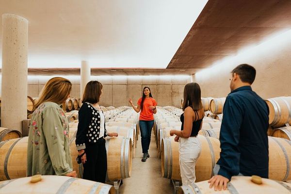 Barolo Wine Day Trip from Milan with a Private Driver in a Luxury Car, Two Wineries
