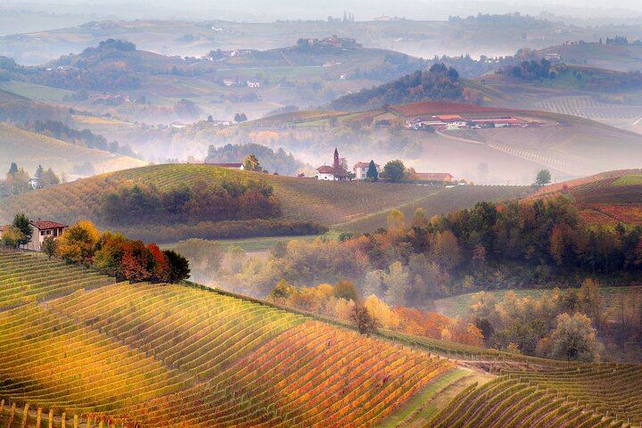 Barolo Wine Day Trip from Milan with a Private Driver in a Luxury Car, Two Wineries (1/12)
