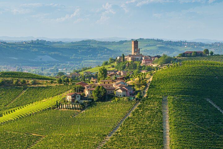 Barolo Wine Day Trip from Milan with a Private Driver in a Luxury Car, Two Wineries (5/12)
