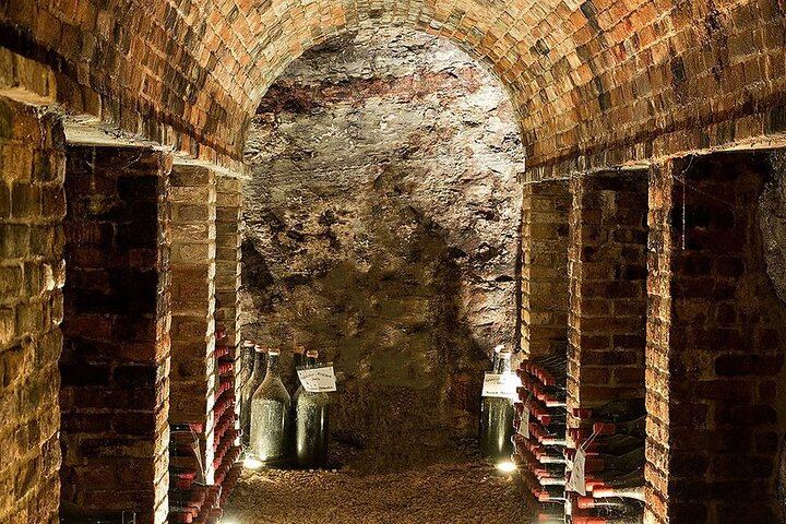 Barolo Wine Day Trip from Milan with a Private Driver in a Luxury Car, Two Wineries (11/12)