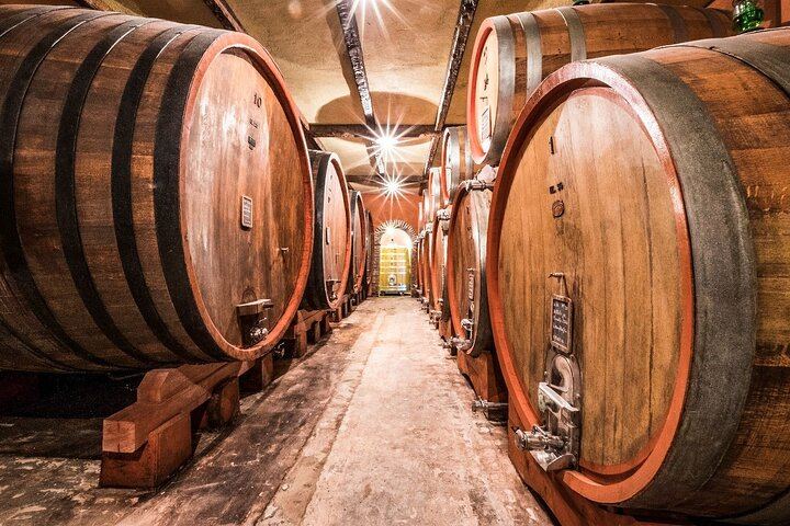 Barolo Wine Day Trip from Milan with a Private Driver in a Luxury Car, Two Wineries (3/12)