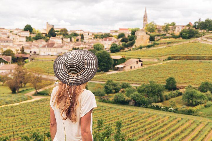 Barolo Wine Day Trip from Milan with a Private Driver in a Luxury Car, Two Wineries (12/12)
