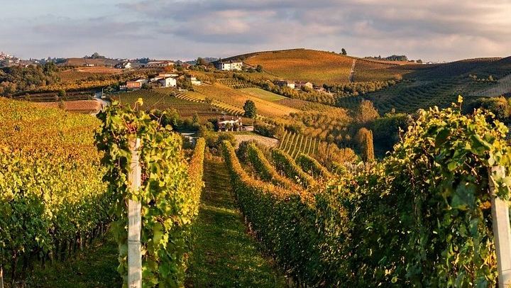 Small-Group Day Trip from Milan: La Morra, Grinzane Cavour Castle and Barolo Wine Cellars (3/12)