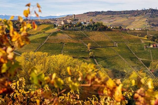 Small-Group Day Trip from Milan: La Morra, Grinzane Cavour Castle and Barolo Wine Cellars