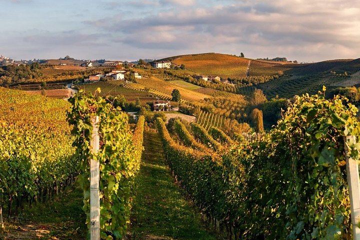 Small-Group Day Trip from Milan: La Morra, Grinzane Cavour Castle and Barolo Wine Cellars (3/12)