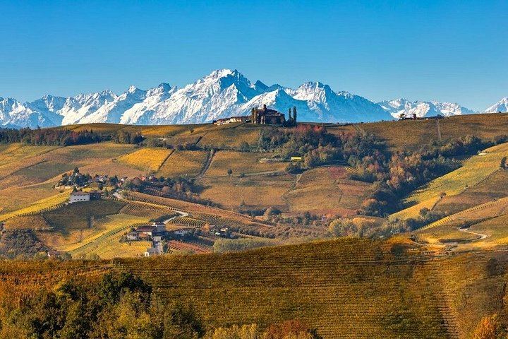 Small-Group Day Trip from Milan: La Morra, Grinzane Cavour Castle and Barolo Wine Cellars (5/12)