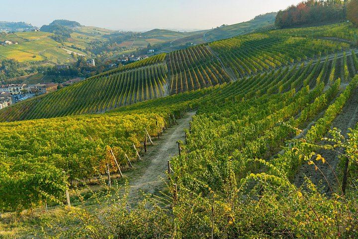 Small-Group Day Trip from Milan: La Morra, Grinzane Cavour Castle and Barolo Wine Cellars (10/12)